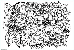 Dessin A Imprimer Adulte Nouveau Collection Coloriage Beau Doodle Motif Floral Adulte Dessin Adulte à
