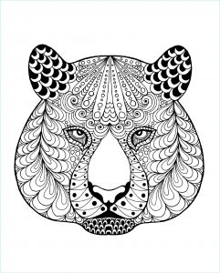 Dessin A Imprimer D&amp;#039;animaux Beau Image Coloriage De Tigre à Telecharger Gratuitement Coloriage