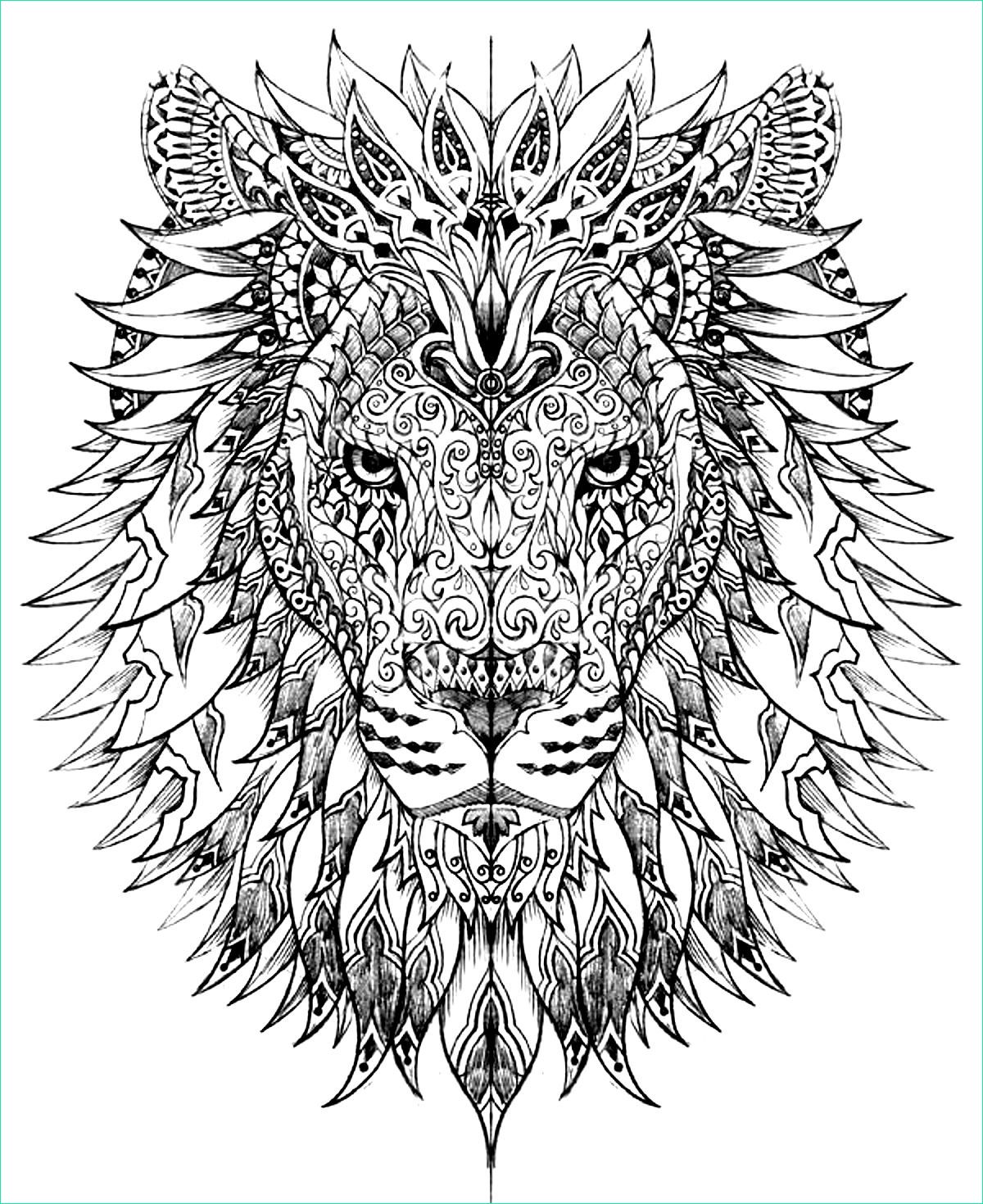 Dessin A Imprimer Pour Adulte Unique Galerie Tete Lion Lions Coloriages Difficiles Pour Adultes