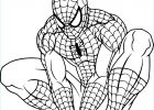 Dessin à Imprimer Spiderman Beau Stock Coloriage Spiderman Coloriages Spiderman à Imprimer
