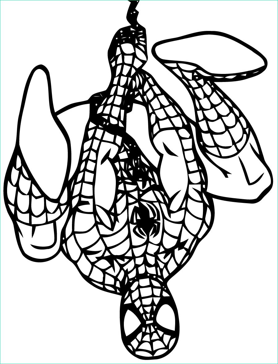 Dessin A Imprimer Spiderman Bestof Photos Coloriage Spiderman à Imprimer Pour Les Enfants Cp