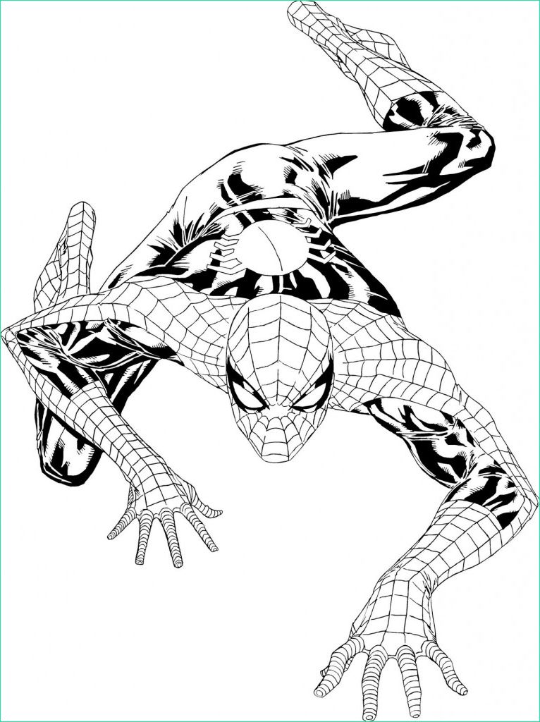 Dessin à Imprimer Spiderman Inspirant Stock Coloriage De Spider Man Qui Grimpe Sur Le Mur