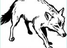 Dessin D&#039;animal Bestof Photographie Coloriages Animaux Animaux Sauvages