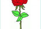 Dessin De Rose A Imprimer Bestof Photos Meilleure Nouvelle Bouquet De Rose Dessin Couleur Random