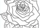 Dessin De Rose A Imprimer Bestof Stock Dessin 1464 Coloriage Roses à Imprimer Oh Kids