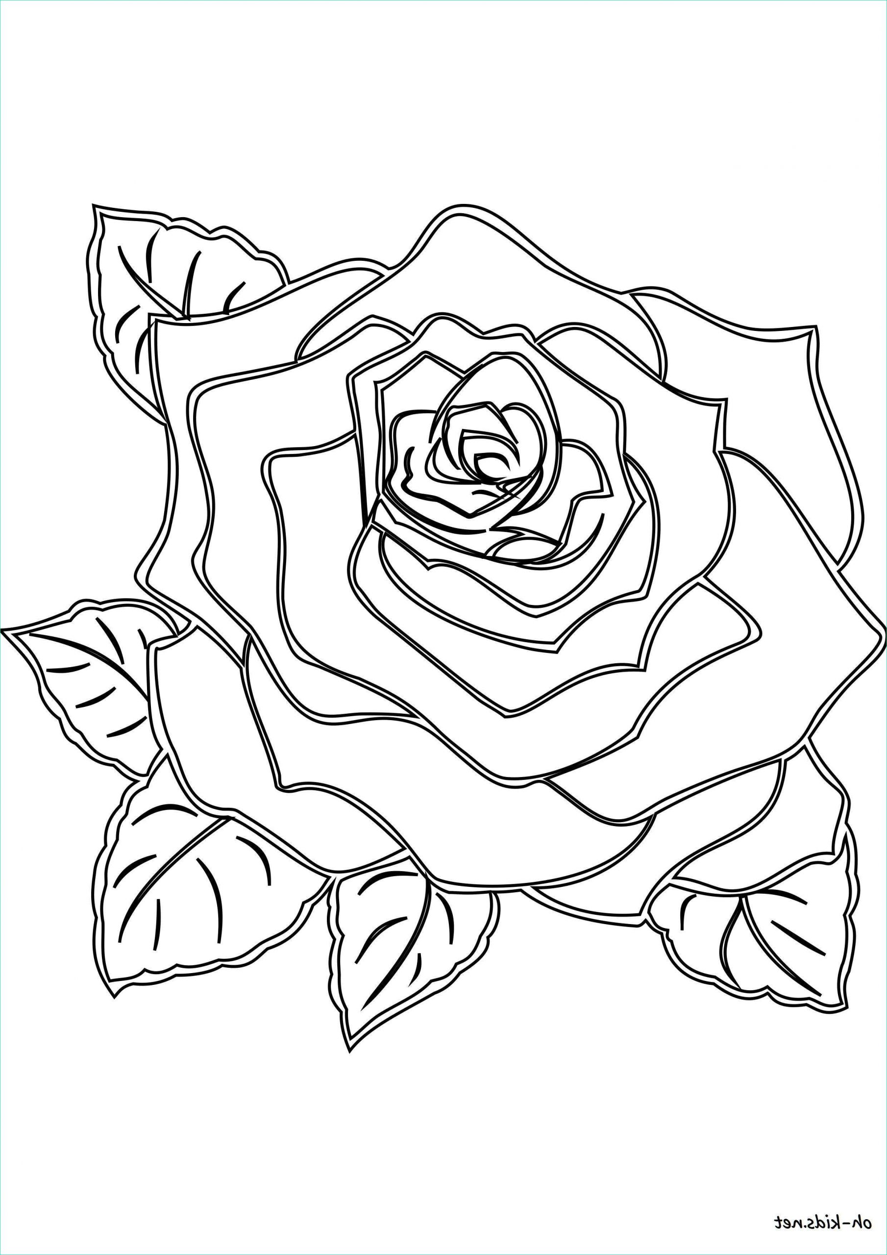 Dessin De Rose A Imprimer Bestof Stock Dessin 1464 Coloriage Roses à Imprimer Oh Kids