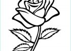 Dessin De Rose A Imprimer Cool Images Coloriage Rose En Noir Dessin Gratuit à Imprimer