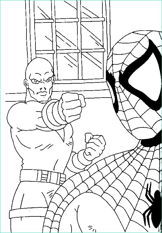 Dessin De Spiderman Impressionnant Photographie Coloriage Spiderman Noir A Imprimer Gratuit