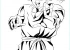 Dessin Dragon Ball Z Beau Image Unique Coloriage Manga Dragon Ball Z