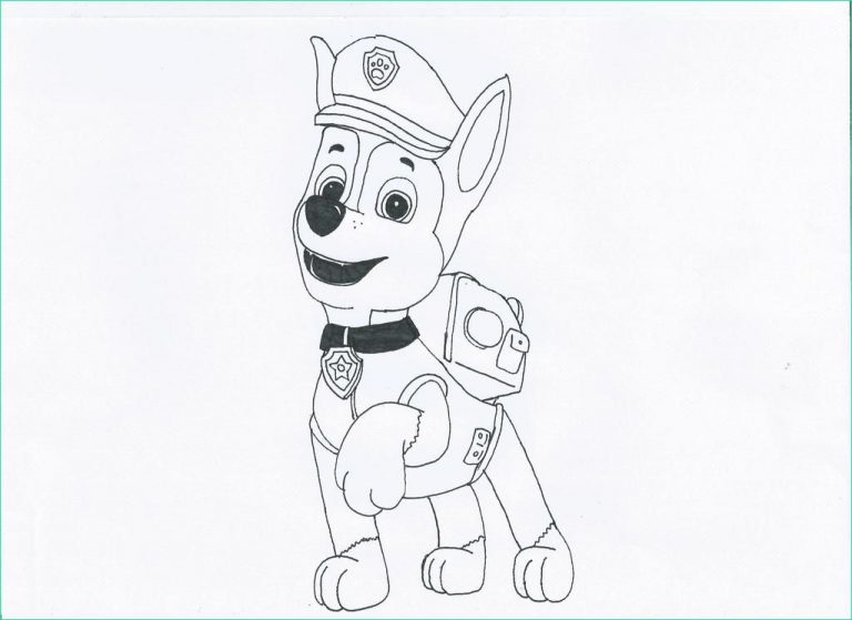 Dessin Facile Pat Patrouille Beau Photos Paw Patrol Chase By