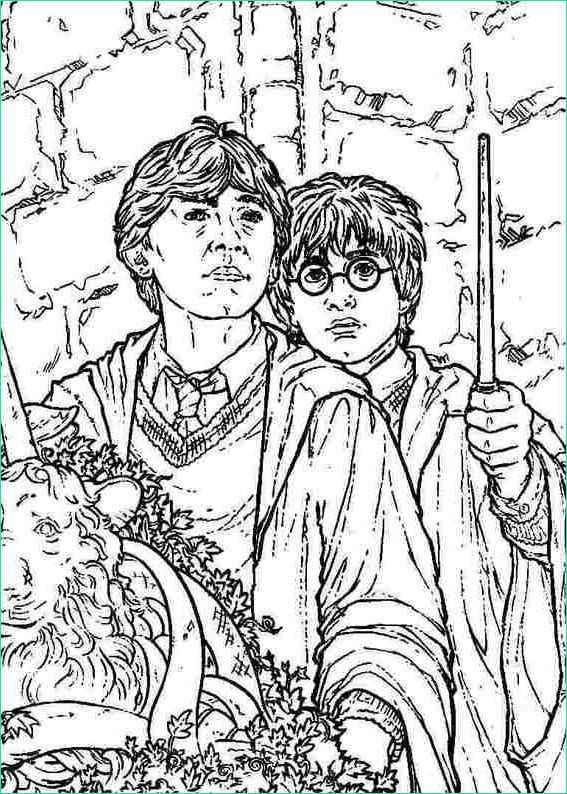 Dessin Harry Potter Cool Photos Harry Potter 059 Coloring Page