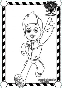 Dessin Pat Patrouille Stella Beau Photos Stella and Sam Coloring Pages to Print Coloring Pages