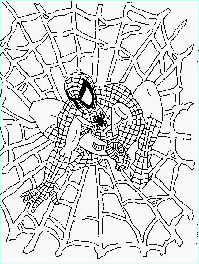 Dessin Spiderman Luxe Photos Coloring Pages Spiderman Free Printable Coloring Pages