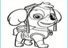 Dessin Stella Pat Patrouille Beau Collection Coloriage Pat Patrouille Paw Patrol tous Les Chiens Dessin