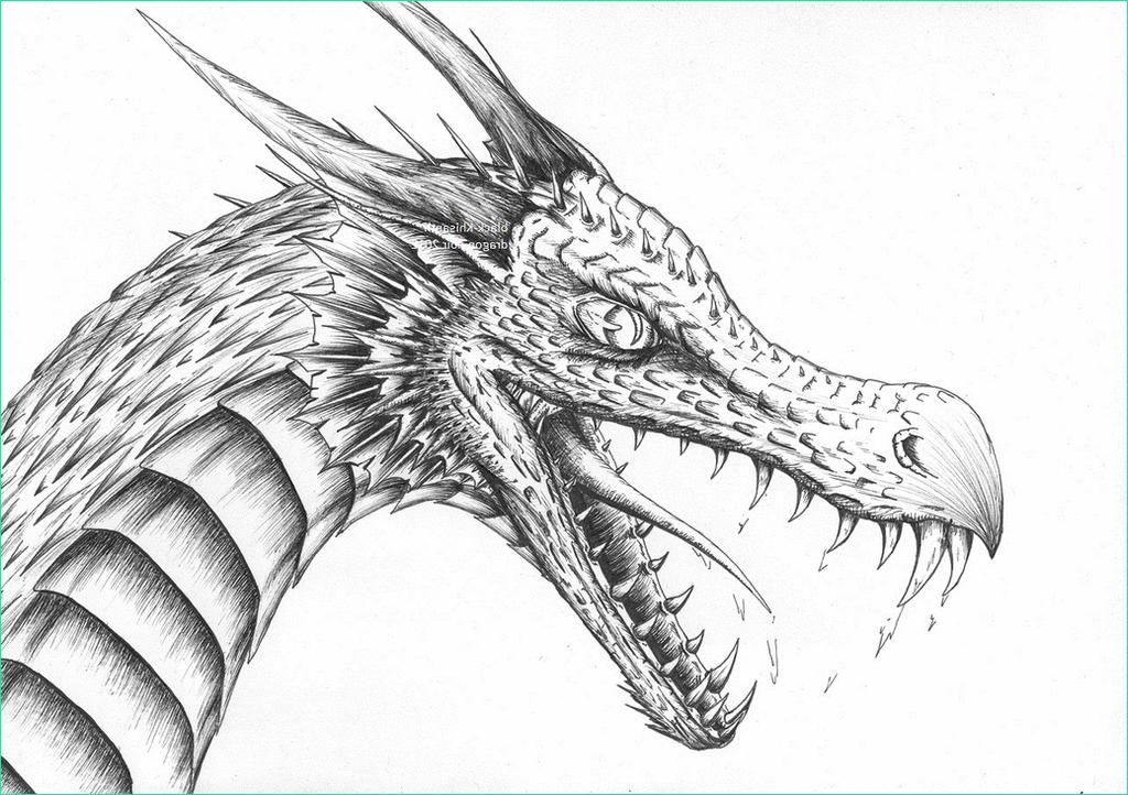 Dessins De Dragons Unique Stock Tete De Dragon by Black Khisanth On Deviantart
