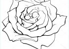 Dessins De Roses Inspirant Image Deep Contour Rose top View isolated Sketch Vector