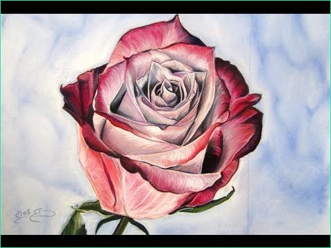 Dessins De Roses Luxe Collection [pastels Secs] Tutoriel Ment Dessiner Une Rose