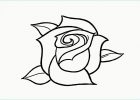 Dessins De Roses Luxe Stock How to Draw A Rose Flower