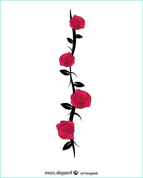 Dessins De Roses Luxe Stock Vector De Rosas