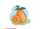 Dessins Fruits Beau Stock oranges Dessin Fruits Clip Arts Gratuits Fruits Et