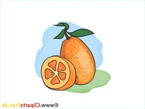 Dessins Fruits Beau Stock oranges Dessin Fruits Clip Arts Gratuits Fruits Et