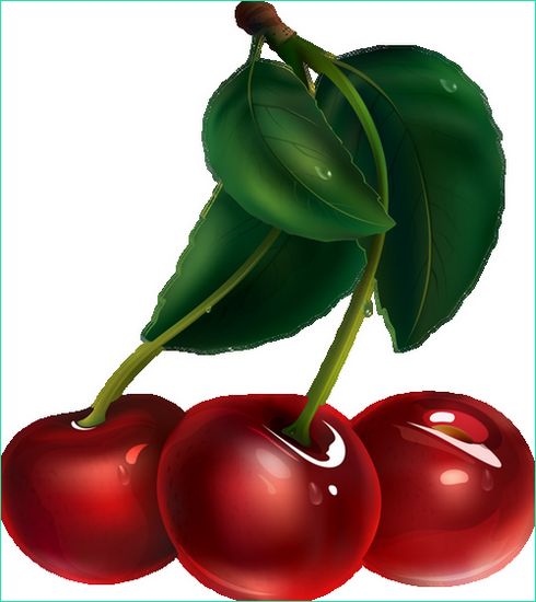 Dessins Fruits Beau Stock Tube Fruit Cerise Png Dessin Cherry Drawing Clipart