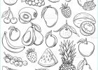 Dessins Fruits Unique Photographie Vector Sketch Fruits Stock Illustration Download Image