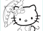 Hello Kitty Coloriage Coeur Beau Photos 14 Animé Coloriage Hello Kitty Coeur Gallery Coloriage