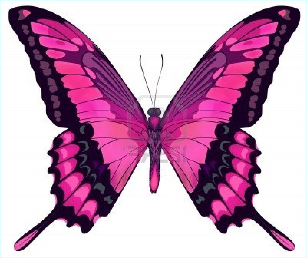 Image De Papillon à Imprimer Beau Galerie Dessins En Couleurs à Imprimer Papillon Numéro