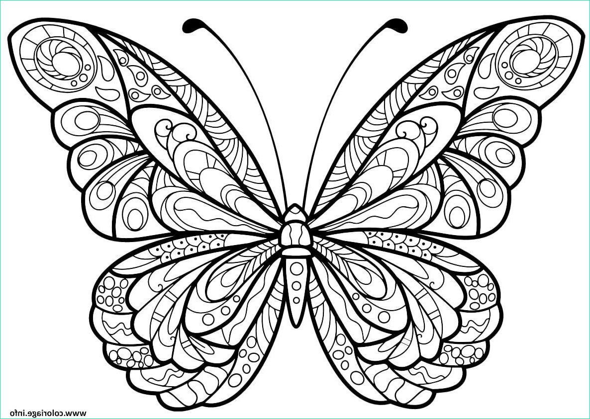 Image De Papillon à Imprimer Beau Photographie Coloriage Papillon Jolis Motifs 5 Dessin Adulte Papillon à