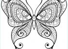 Image De Papillon à Imprimer Bestof Galerie butterfly Beautiful Patterns 10 butterflies & Insects