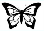 Image De Papillon à Imprimer Impressionnant Image Pin by Doyle On Wings