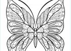 Image De Papillon à Imprimer Luxe Stock Coloriage De Papillons à Imprimer Gratuitement Coloriage