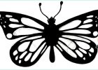 Image De Papillon à Imprimer Nouveau Collection Dessin Papillon à Imprimer Beau S Ment Dessiner Un