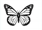 Image De Papillon à Imprimer Unique Image Artettuto Coloriages Papillons à Imprimer Dessins