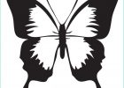 Image De Papillon à Imprimer Unique Images Dessins En Couleurs à Imprimer Papillon Numéro