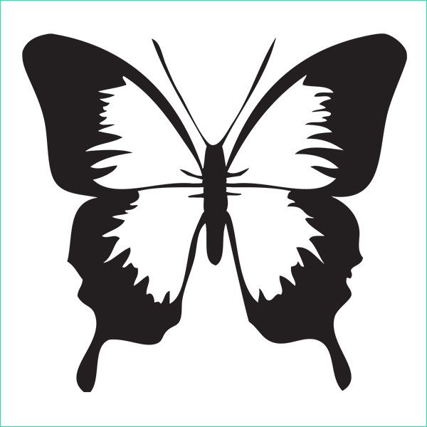 Image De Papillon à Imprimer Unique Images Dessins En Couleurs à Imprimer Papillon Numéro