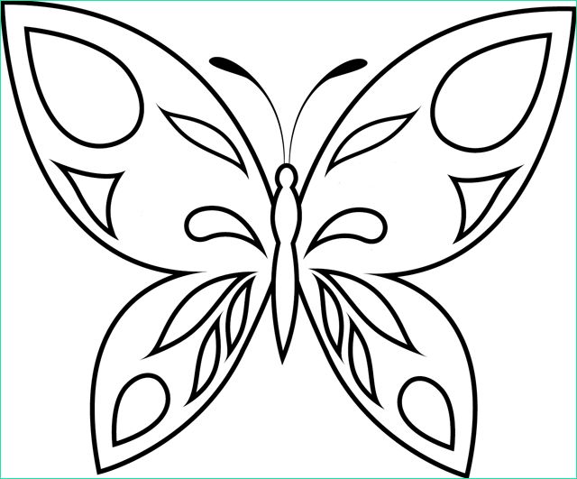 Imprimer Un Dessin Beau Photos Coloriage à Imprimer Un Papillon