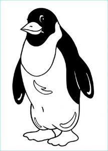 Pingouin à Colorier Beau Galerie 120 Dessins De Coloriage Pingouin à Imprimer