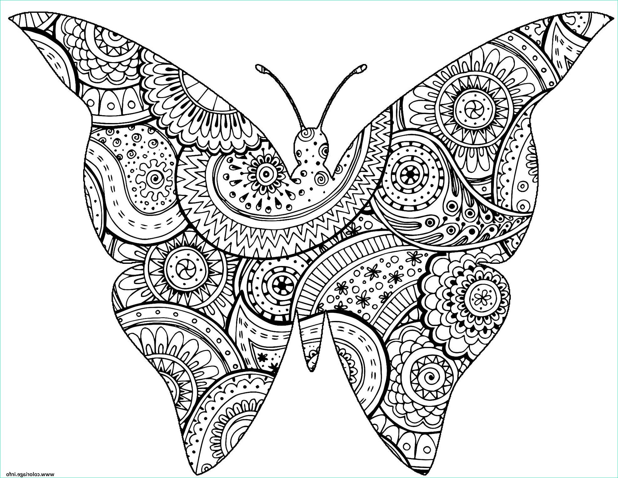 Zentangle à Imprimer Beau Galerie Coloriage Insecte Papillon Avec Zentangle Paisley Motifs