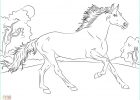 Cheval à Colorier à Imprimer Cool Photos Morgan Horse Coloring Pages at Getcolorings