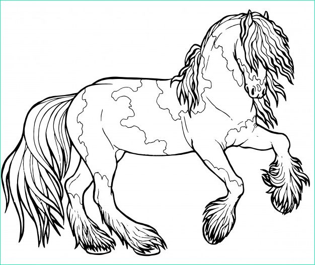 Cheval à Colorier Beau Photos Horse Runs Trot Coloring Book the Horse Runs Trot