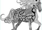 Cheval à Colorier Beau Photos Mandala De Cheval Inspirant S Coloriage Adulte