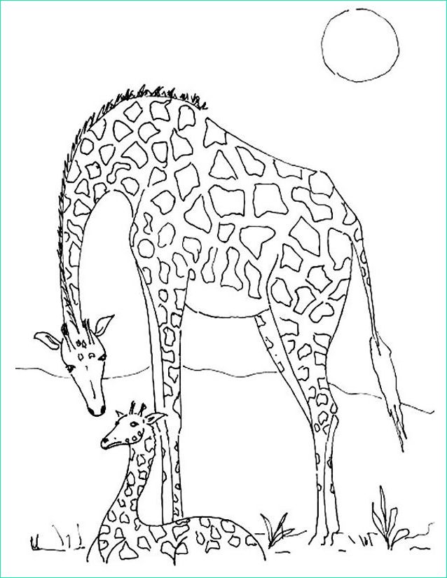 Coliriage Beau Stock Coloriage Girafe à Imprimer Gratuitement