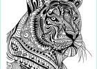Coloriage A Imprimer Mandala Animaux Impressionnant Images Tiger In Pattern Wall Sticker Mandala Animal Wall Decal