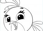 Coloriage Angry Bird Beau Photographie Coloriage Stella Angry Birds à Imprimer