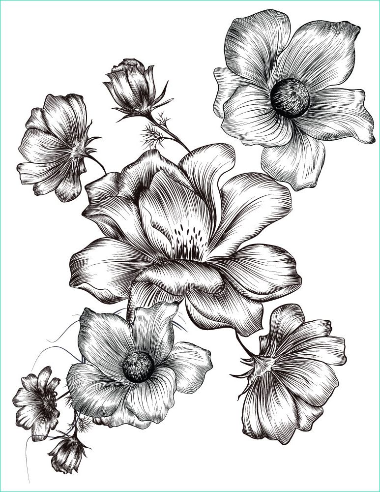 Coloriage De Fleur à Imprimer Élégant Collection Petites Fleurs Coloriages été à Imprimer Image Gratuite