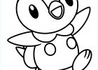Coloriage De Pokémon Bestof Galerie Coloring Page Pokemon Diamond Pearl Coloring Pages 244