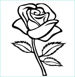 Coloriage De Rose Beau Collection Coloriage Rose Fleur Dessin Gratuit à Imprimer