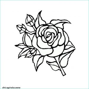Coloriage De Rose Bestof Images Coloriage Roses 115 Dessin Rose à Imprimer